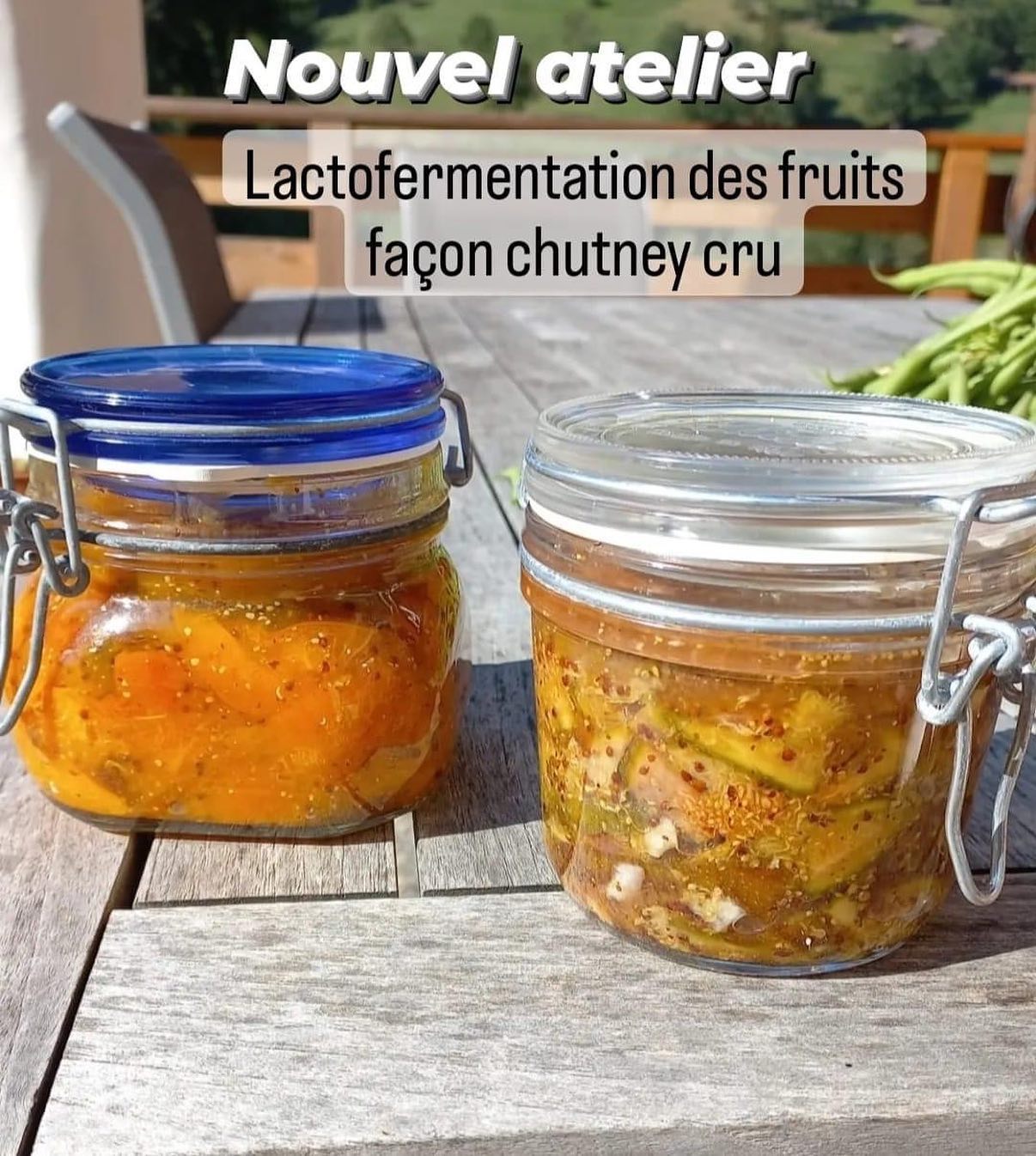ATELIER LACTOFERMENTATION DES FRUITS FAÇON CHUTNEY ♡ Philfruits — free download